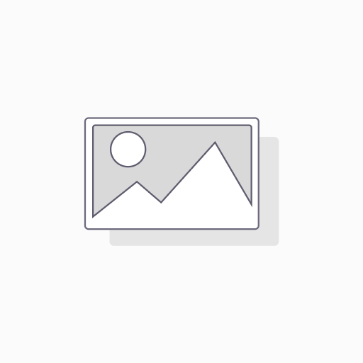 CHANGEUR DE GENRE USB A F/F
